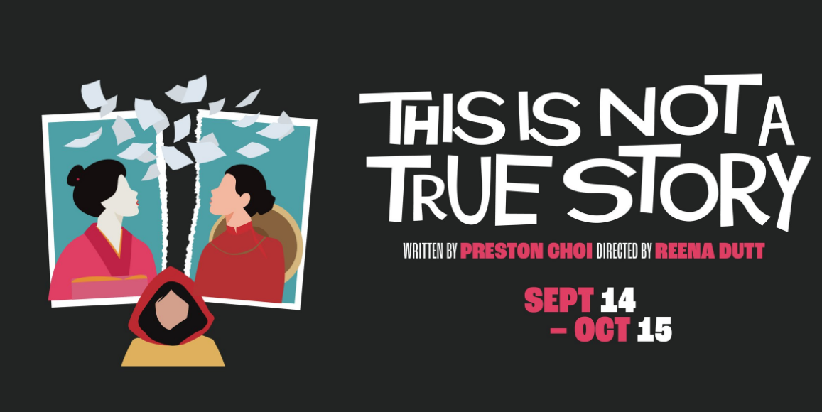 Poster of "This is not a True Story"